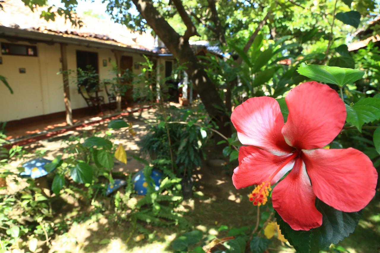 Casa De Los Berrios เลออน ภายนอก รูปภาพ